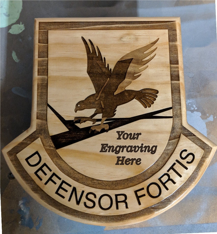 Defensor Fortis Security Forces USAF going away plaque