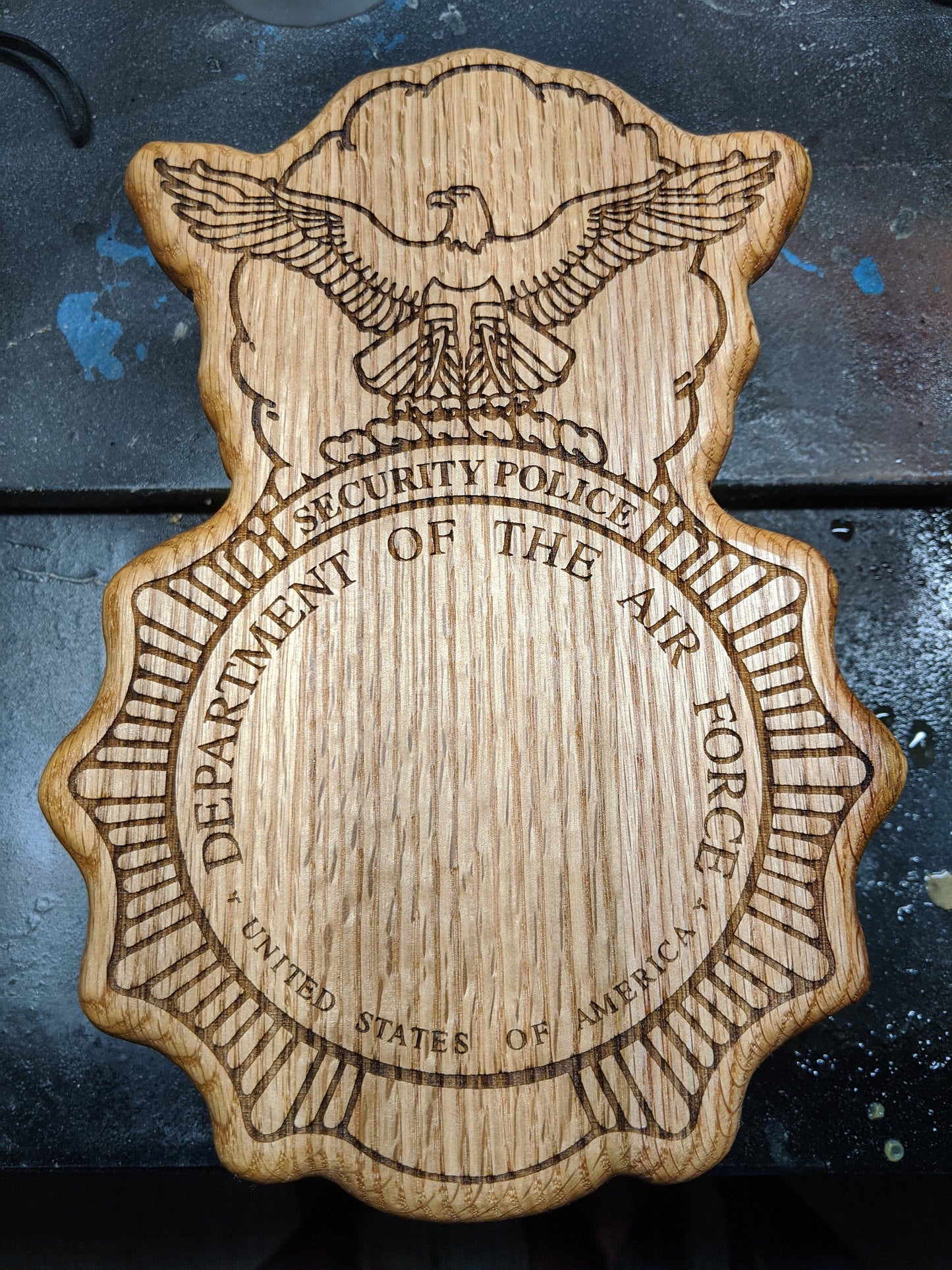 Security Forces USAF going away plaque